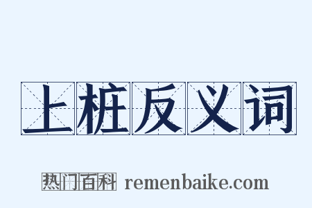 上桩反义词是什么意思的图片